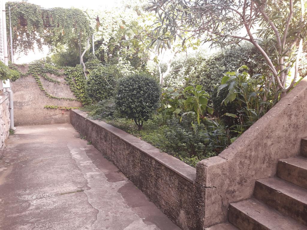 Pavlito